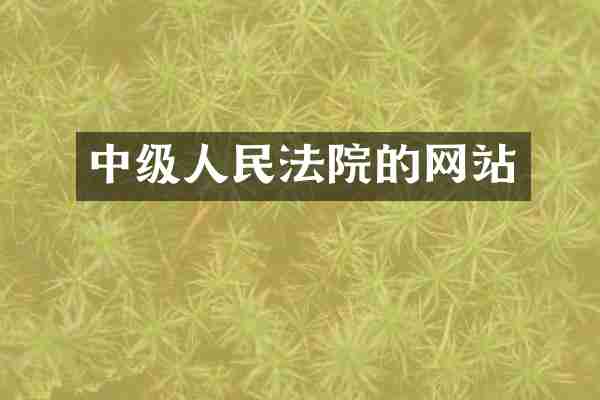 中级人民法院的网站