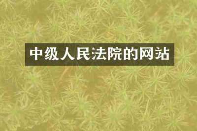 中级人民法院的网站