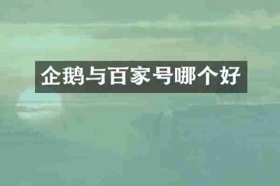 企鹅与百家号哪个好