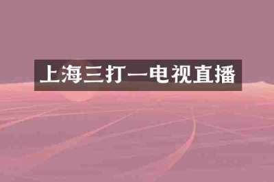 上海三打一电视直播
