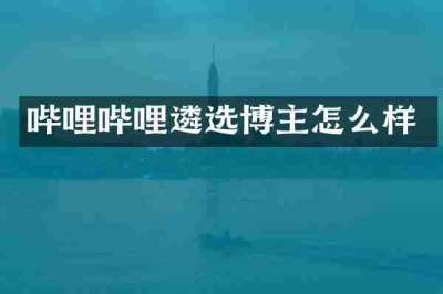 哔哩哔哩遴选博主怎么样