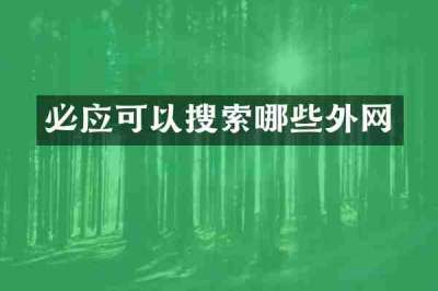必应可以搜索哪些外网