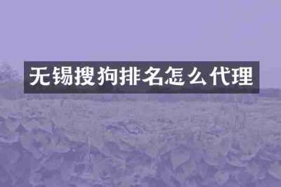 无锡搜狗排名怎么代理