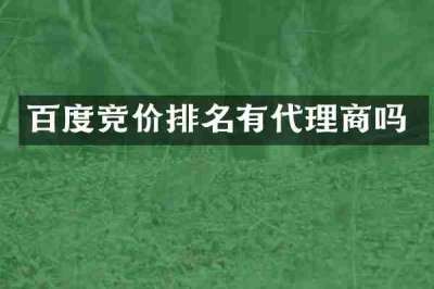百度竞价排名有代理商吗