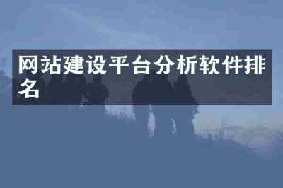 网站建设平台分析软件排名