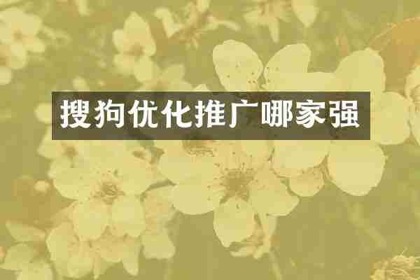 搜狗优化推广哪家强