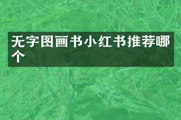 无字图画书小红书推荐哪个