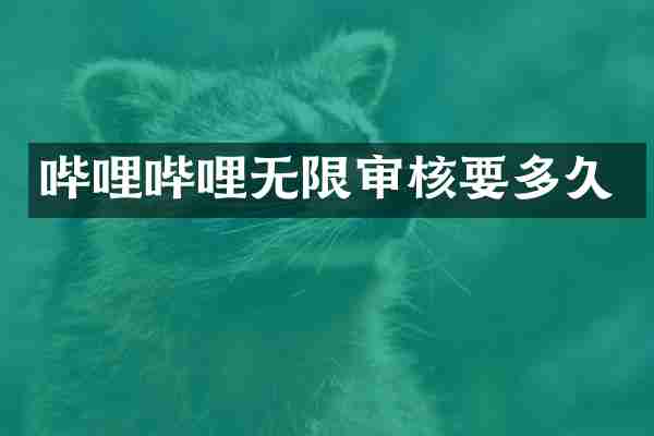 哔哩哔哩无限审核要多久