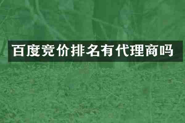 百度竞价排名有代理商吗
