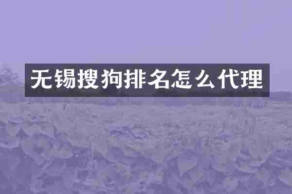 无锡搜狗排名怎么代理