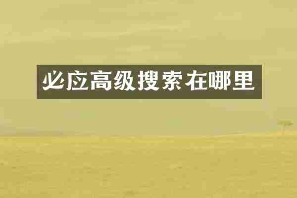 必应高级搜索在哪里