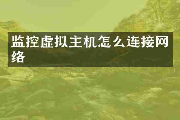 监控虚拟主机怎么连接网络