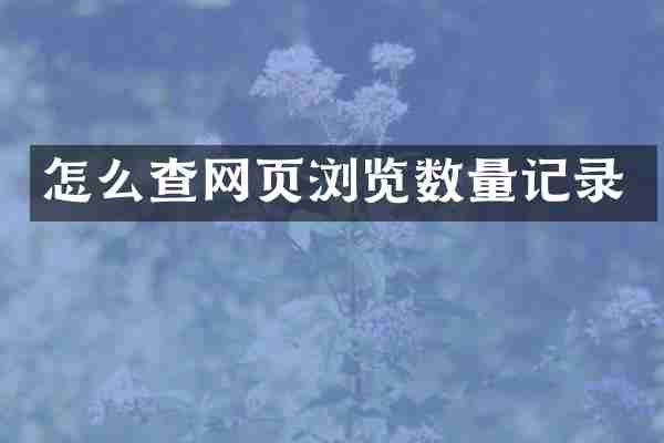 怎么查网页浏览数量记录