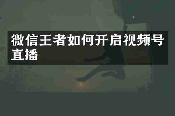 微信王者如何开启视频号直播