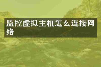 监控虚拟主机怎么连接网络