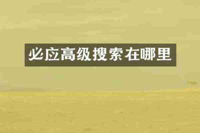 必应高级搜索在哪里