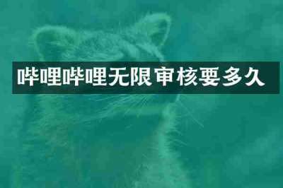 哔哩哔哩无限审核要多久