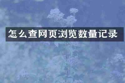 怎么查网页浏览数量记录
