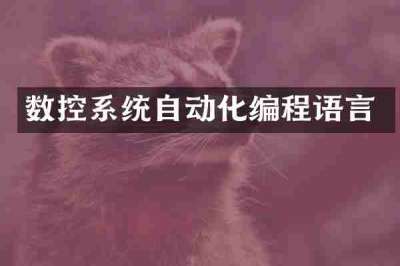 数控系统自动化编程语言