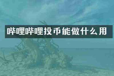 哔哩哔哩投币能做什么用