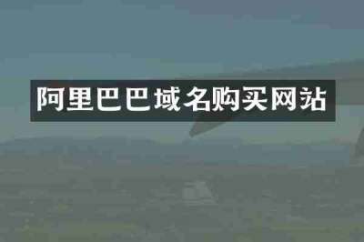 阿里巴巴域名购买网站
