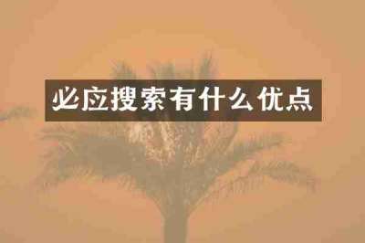 必应搜索有什么优点