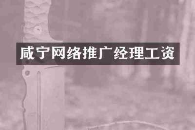 咸宁网络推广经理工资