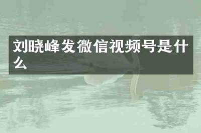 刘晓峰发微信视频号是什么