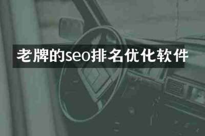 老牌的seo排名优化软件