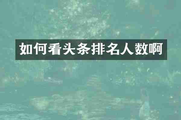 如何看头条排名人数啊