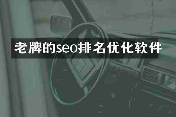 老牌的seo排名优化软件