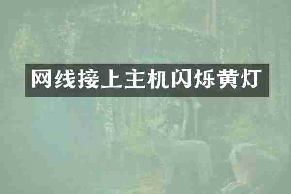 网线接上主机闪烁黄灯