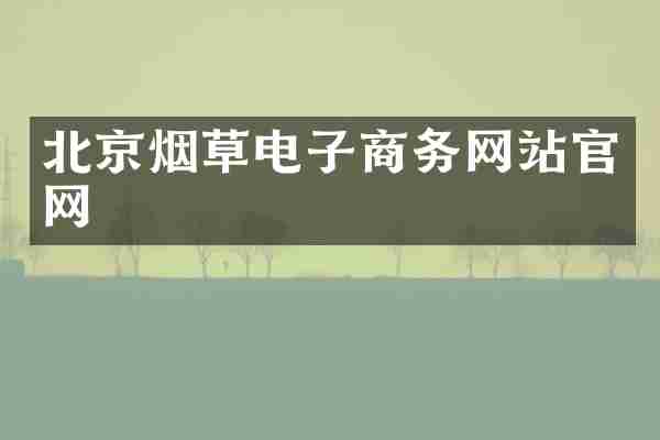 北京烟草电子商务网站官网