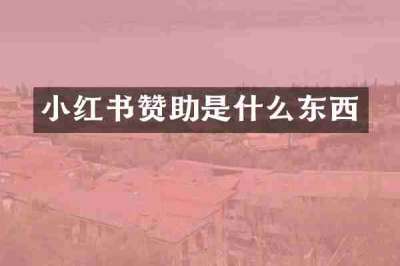小红书赞助是什么东西