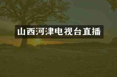 山西河津电视台直播