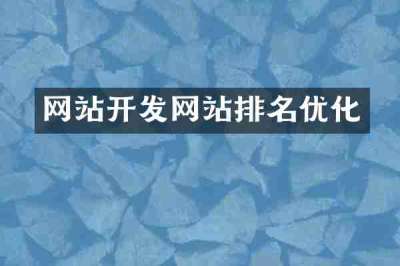 网站开发网站排名优化