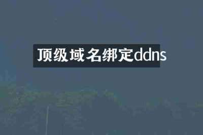 顶级域名绑定ddns