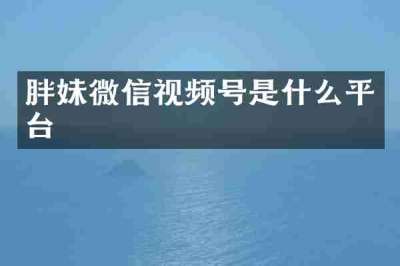 胖妹微信视频号是什么平台
