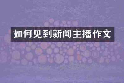 如何见到新闻主播作文