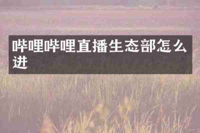哔哩哔哩直播生态部怎么进