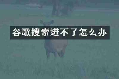 谷歌搜索进不了怎么办