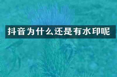 抖音为什么还是有水印呢