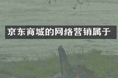 京东商城的网络营销属于