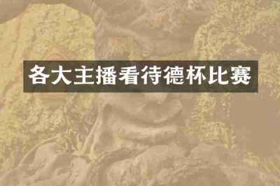 各大主播看待德杯比赛