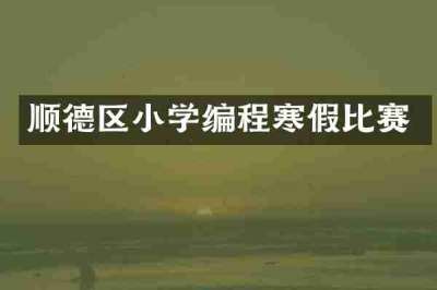 顺德区小学编程寒假比赛