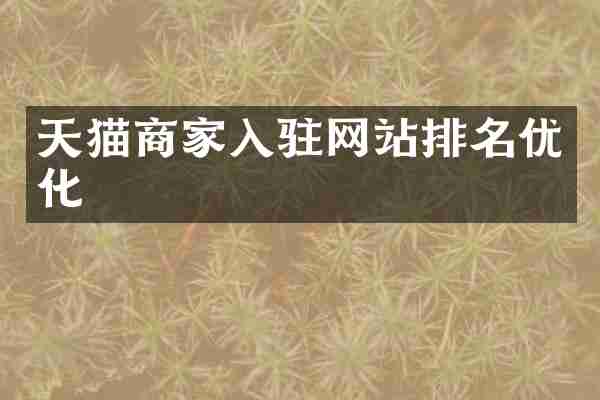 天猫商家入驻网站排名优化