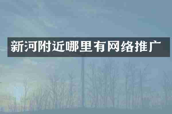 新河附近哪里有网络推广