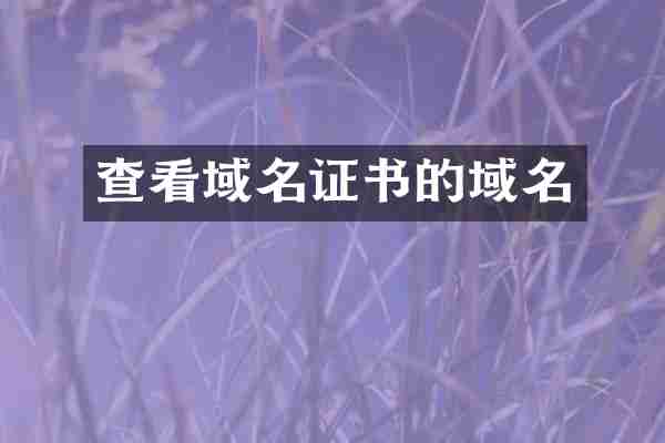 查看域名证书的域名