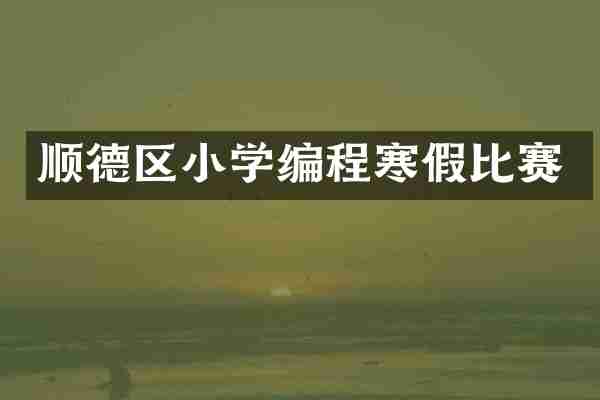 顺德区小学编程寒假比赛