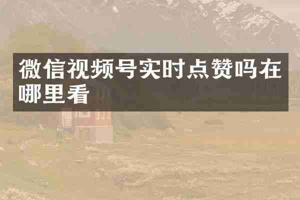 微信视频号实时点赞吗在哪里看